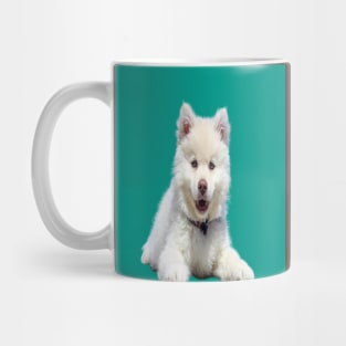 White dog Mug